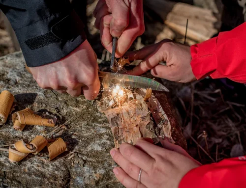 Basic Survival Skills