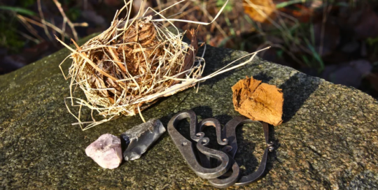 selviytymis- ja erätaidot peruskurssi polku nature tours
