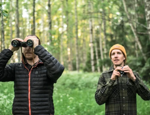 Reconnecting with nature