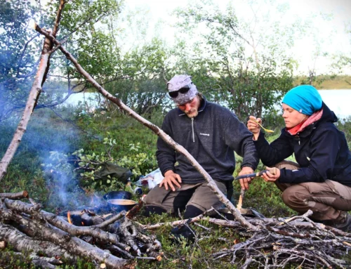 Luonnon varassa – soveltava kurssi